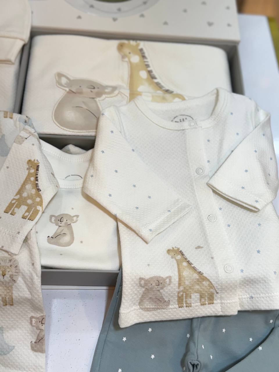 photo_2026-01-01_19-04-21